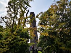 -上海佘山国家森林公园天马山园