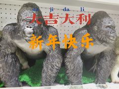 -TOYSRUS玩具反斗城(郑州熙地港店)