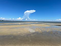 -北海金海湾红树林生态旅游区