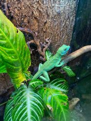 -酷嗒动物文化乐园(cutezoo西溪乐天城店)