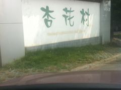 -杏花村文化旅游区