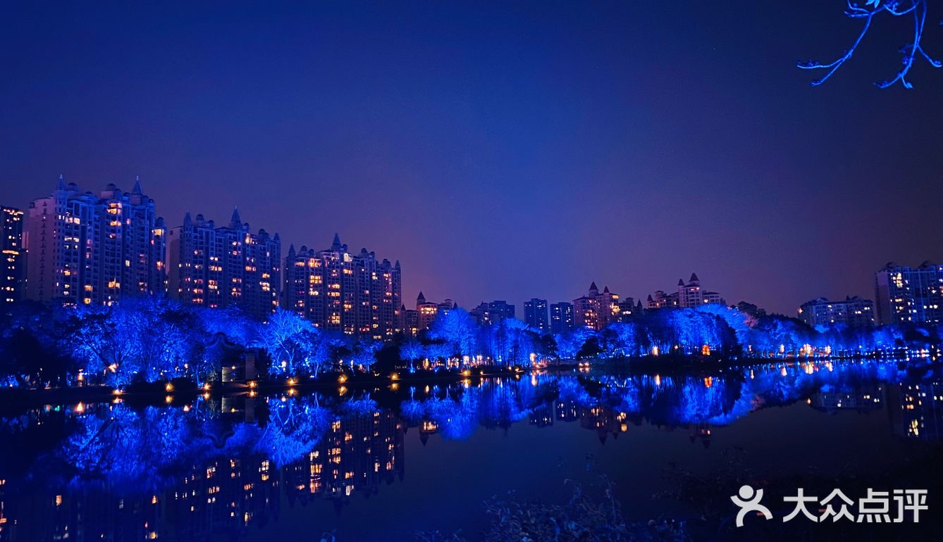 打卡，新佛山夜景