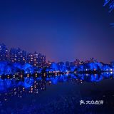 打卡，新佛山夜景