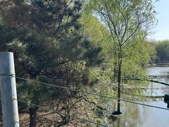 -长白岛森林公园