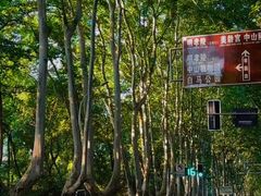 -南京时尚莱迪购物广场(正洪街店)