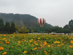 -南沙蒲洲花园