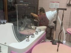 -FAELING PETS美天灵宠物(富力广场店)