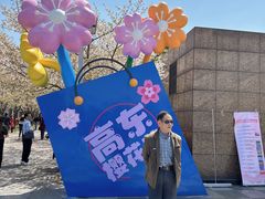 -高东镇樱花园