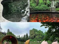 -美的鹭湖森林度假区
