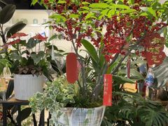 -花辰月夕花坊(北滨路店)