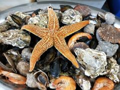 -宾朋海鲜特色美食餐厅·纯手工鲅鱼水饺(兴海路店)