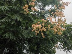 -眉山湿地公园(东坡区)