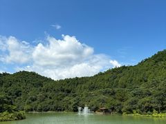 -广州白江湖森林公园