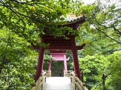 -南海湾森林生态园