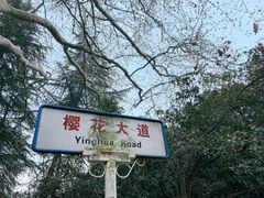 -武汉大学-樱园
