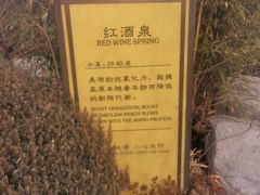 -大连金石滩绿发温泉假日酒店