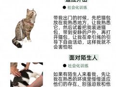 -申普宠物医院·心脏介入·心血管微创(总院)
