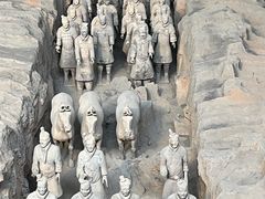 -秦始皇帝陵博物院(兵马俑)