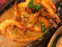 -茉莉.Red Crab