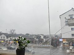 -沙掌门肉蟹煲(沙溪店)