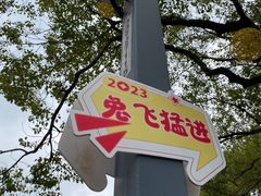 -安亭老街