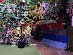-正佳雨林生态植物园