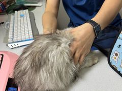 -阿荣24H宠物医院·综合型转诊中心·CT·核磁影像中心