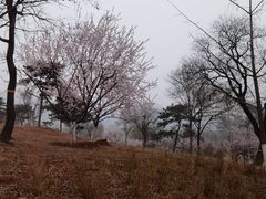 -北京西山国家森林公园