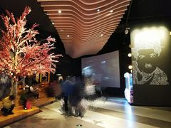 -新影联·华谊兄弟影院(望京店)