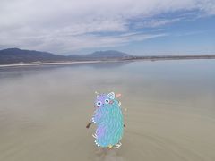 -盐湖景区