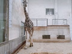 -成都动物园
