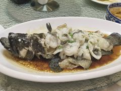 清蒸青斑鱼-頂好酒家·经典粤菜(海信广场店)