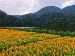-广州市石门国家森林公园