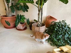 -帐篷客·溪龙茶谷度假酒店