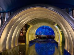 -迪拜帆船酒店海底餐厅