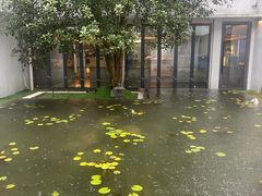 -雪霁山庄·合肥地标老字号