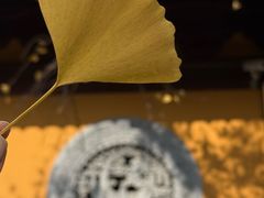 -龙华素斋(龙华路店)