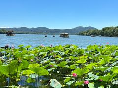 -西湖外事游船(花港观鱼码头)