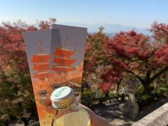 -有栖山 清光院 清水寺
