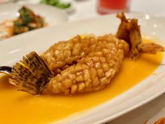 松鼠桂鱼-福1088