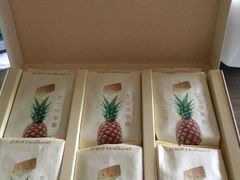 -蒲公英(五里店)