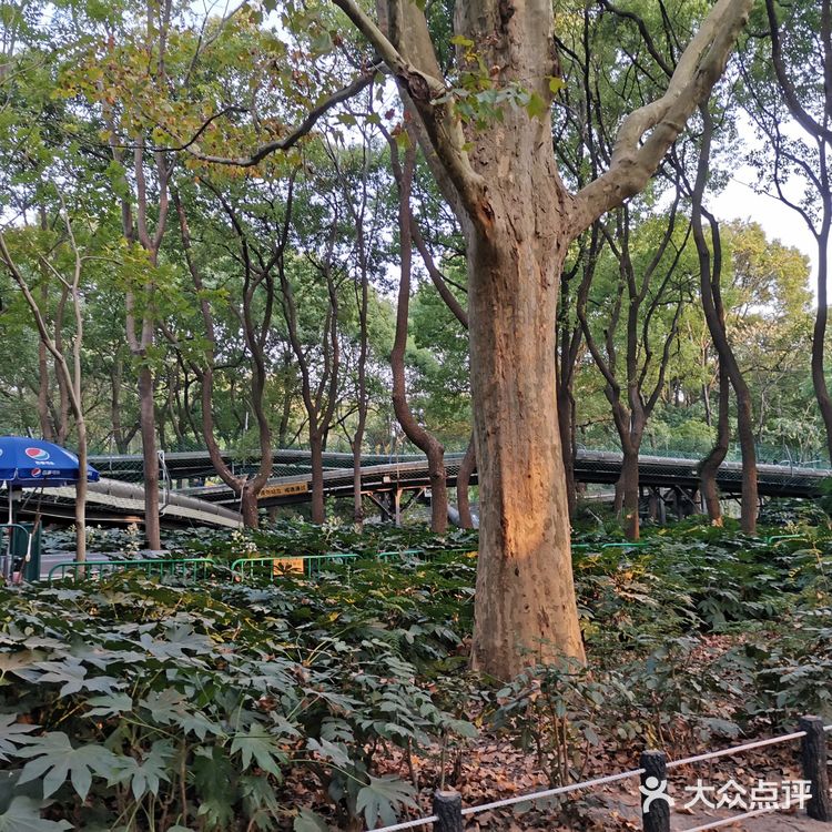自己控制速度。一开始担心控制不好撞到别人