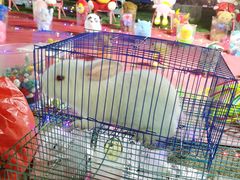 -东莞银行篮球中心