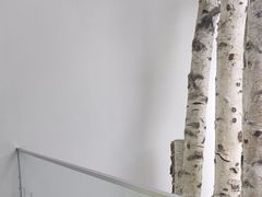 -极简口腔(总院)