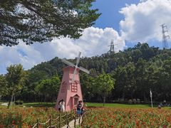 -顺峰山公园