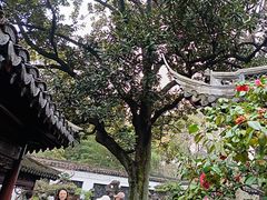 -豫园