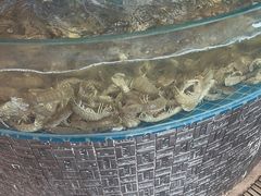 -蓝珊甄选海鲜自助·火锅大排档(近阿那亚店)