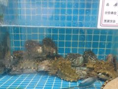 -宾朋海鲜饭庄(兴海路店)