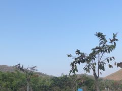 -三亚南山文化旅游区