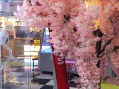 -天天玩X秋葉原日系动漫游戏中心